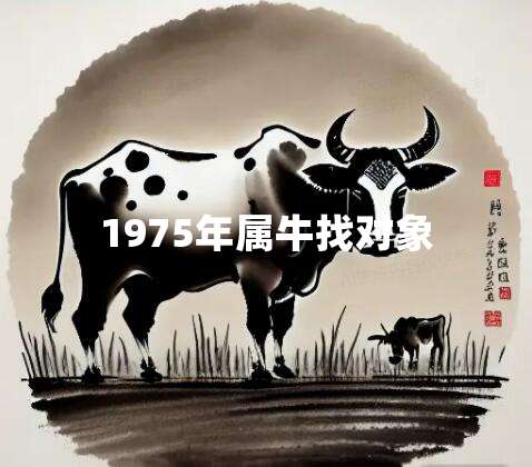 1975年属牛找对象